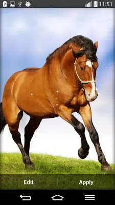 Horse Live Wallpaper android App screenshot 1