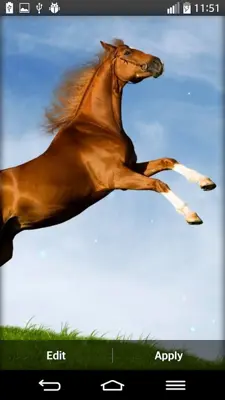 Horse Live Wallpaper android App screenshot 3